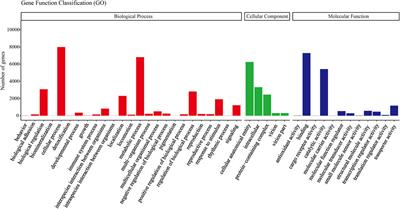 Identification and functional analysis of serine protease inhibitor gene family of Eocanthecona furcellata (Wolff)